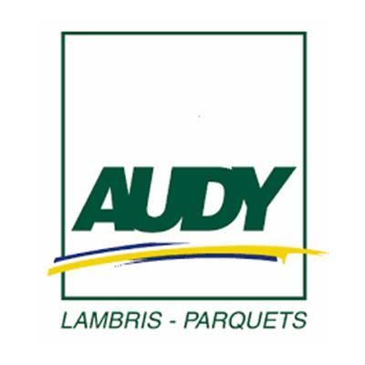 Logo Audy