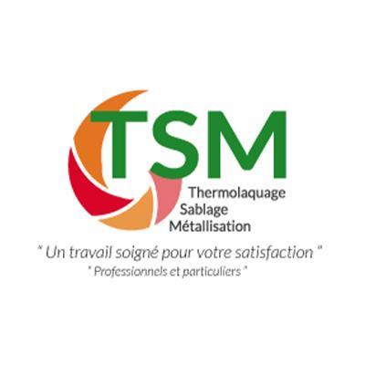 Logo TSM